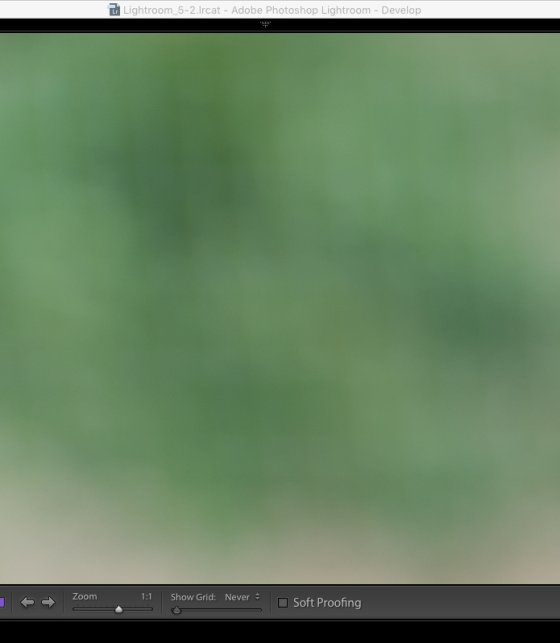 Odd digital artifacts | DPReview Forums