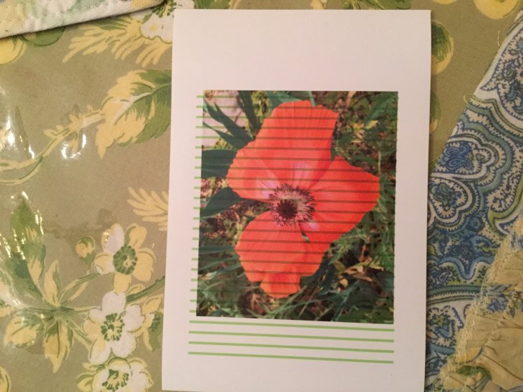 How to stop my Canon i9900 from printing green lines on prints