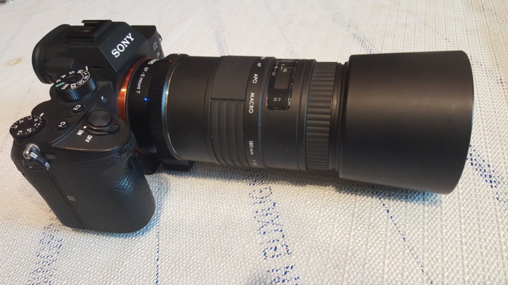 Review of Sigma 180/5.6 Apo Macro - MF Version | DPReview Forums
