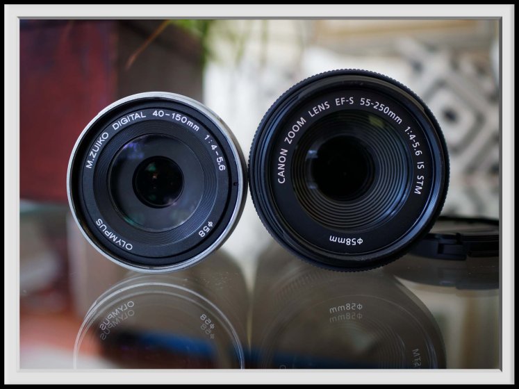 Going Canon (55-250, via Viltrox EF-M1) | DPReview Forums