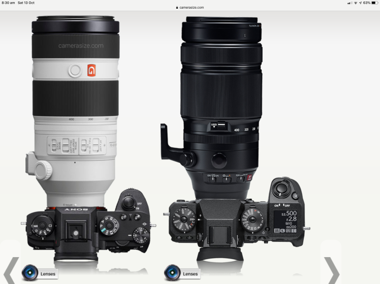Sony A7iii vs X-T3 - my comparison (detailed) | DPReview Forums