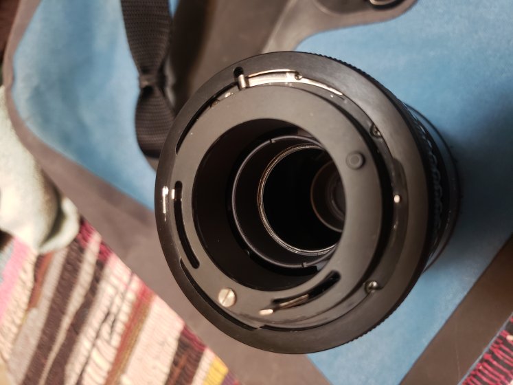 Vivitar 100/3.5 MC manual focus | DPReview Forums