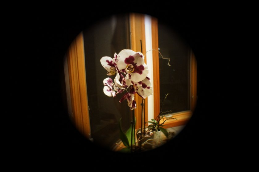 Cosmicar TV Pinhole Lens 9mm f/3.4 | DPReview Forums