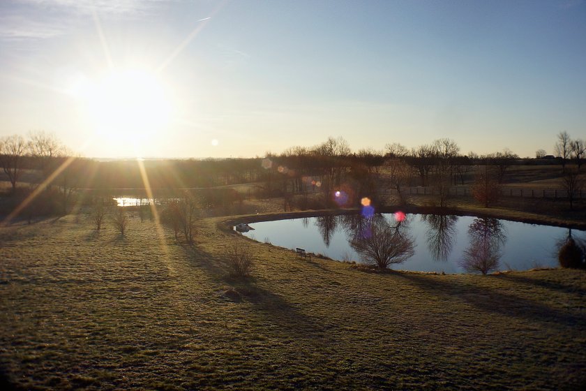 Cosmicar TV Pinhole Lens 9mm f/3.4 | DPReview Forums