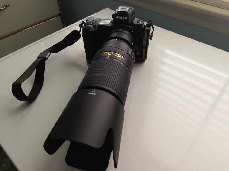 Nikon AF-P 70-300mm f/4.5-5.6E ED VR on Z  | DPReview Forums