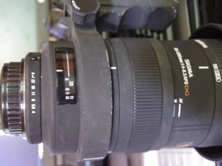 Sigma 150-500mm f/5.0-6.3 APO HSM DG OS AF Lens | DPReview Forums