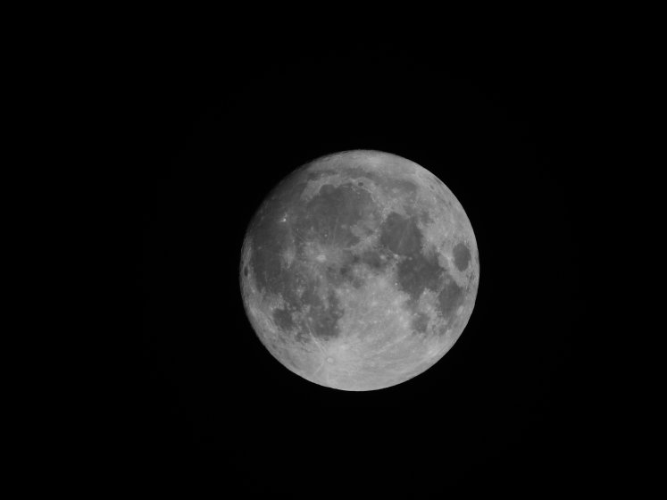 P610 Moon Shots | DPReview Forums