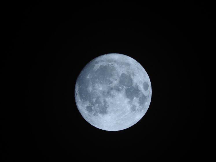 P610 Moon Shots | DPReview Forums