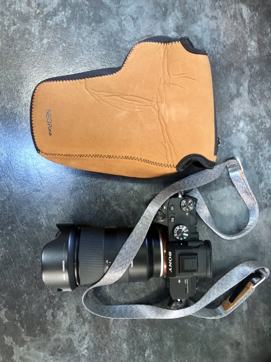 What's the best small bag that fits a Sony A7iii with Tamron 28