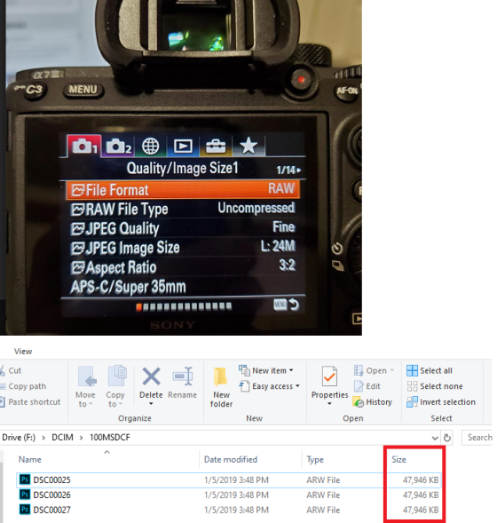 A7iii Raw Uncompressed File Size very small? | DPReview Forums