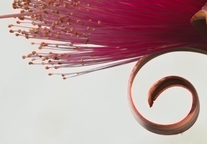 RE Topcor 200mm f5.6 | DPReview Forums