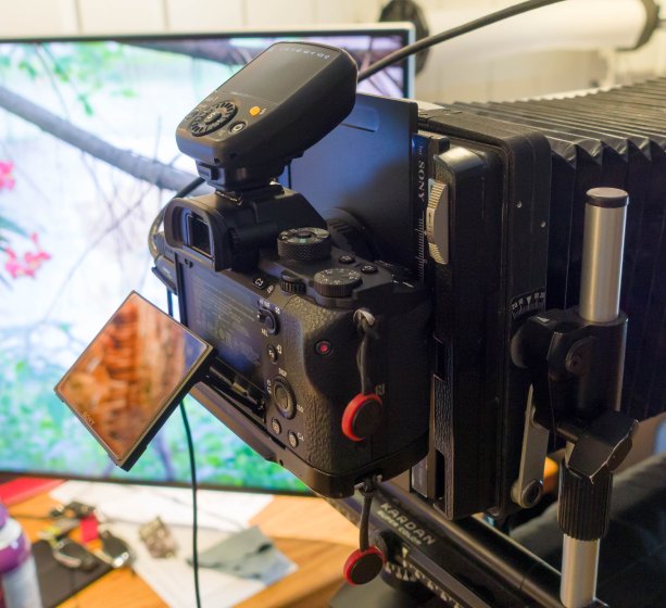 Linhof Viewer Options for view camera movements with an A7Riii | DPReview Forums