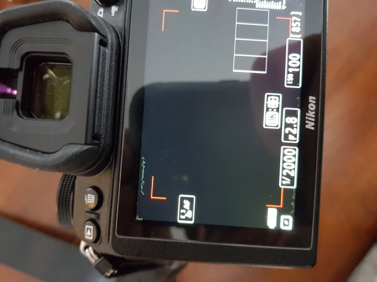 Nikon Z6II stuck pixels | DPReview Forums
