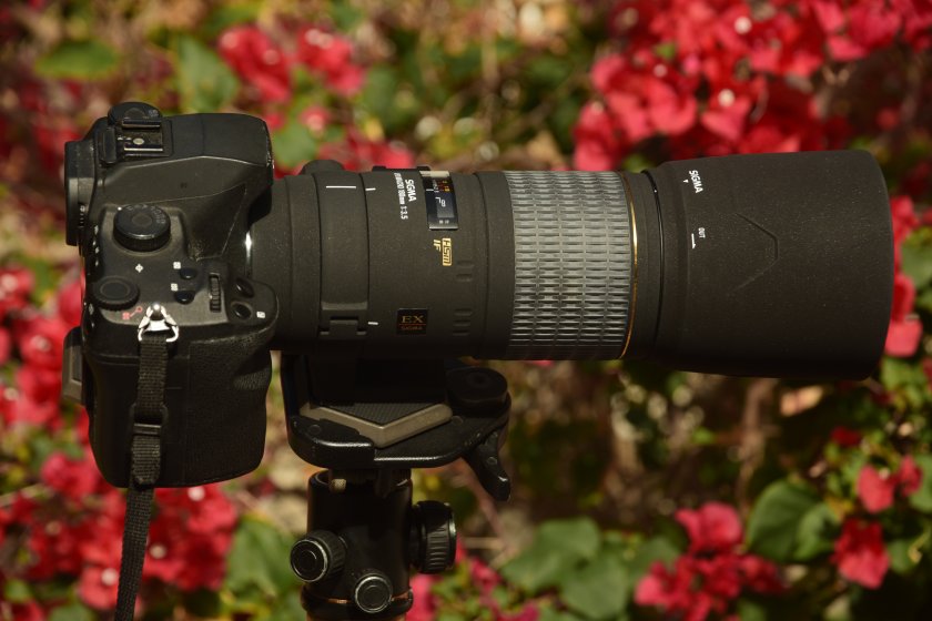 Sigma 180mm f3.5 APO EX HSM IF macro on SD1 Merrill | DPReview Forums