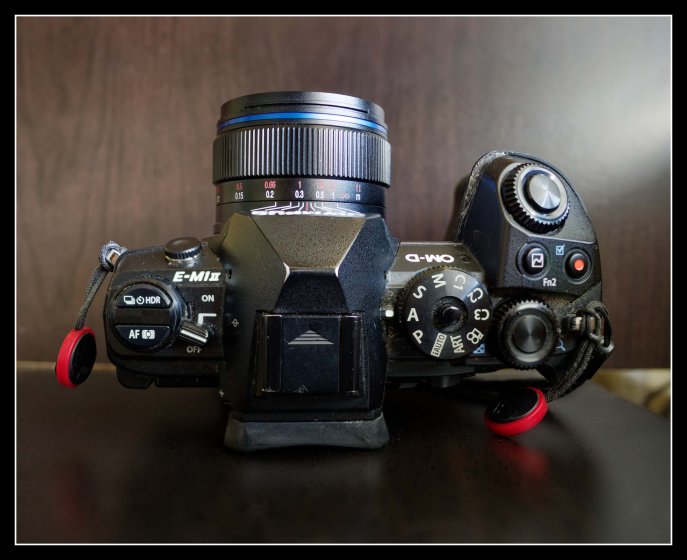 Review: Laowa 10mm F2 Zero-D MFT C&D Dreamer awww | DPReview Forums