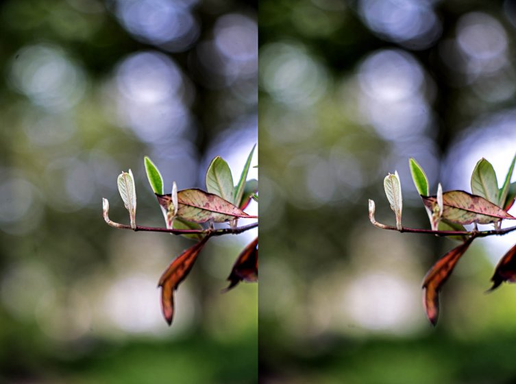 An odd lens | DPReview Forums