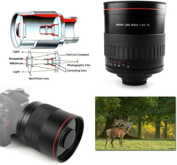 Another budget mirror lens, 900/8 this time | DPReview Forums