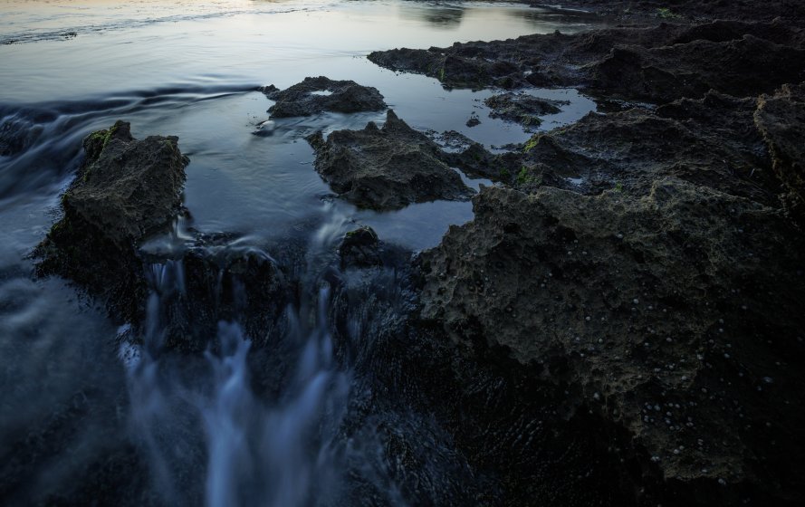 Image quality: In-camera JPEG vs JPEG exported from RAW file | DPReview ...