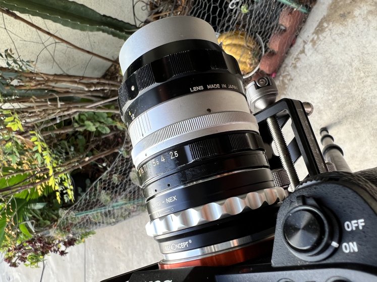 Nikon Nippon Kogaku Nikkor-P Auto 105mm F2.5 Non-Ai MF Lens