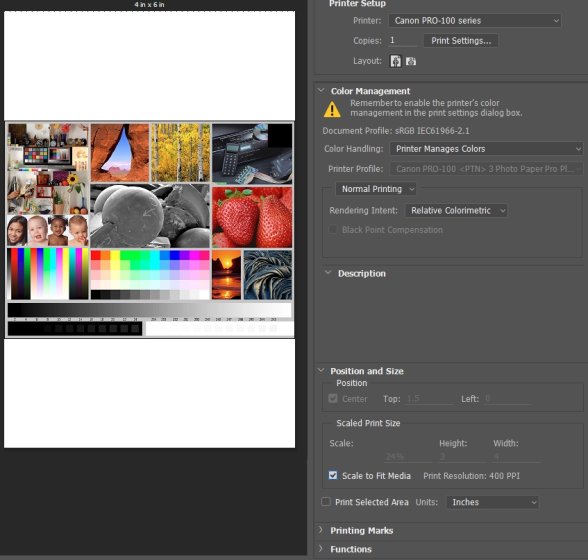 Pro 100 Banding Problem | Page 2 | DPReview Forums