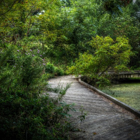 Keep your feet dry - Bridges - Please add yours! | DPReview Forums