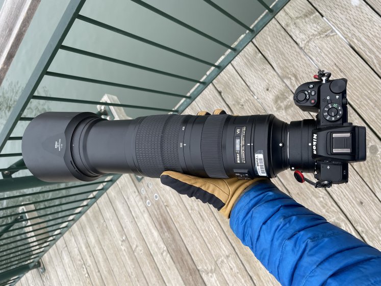 Z50 with Sigma 150-600 C | DPReview Forums