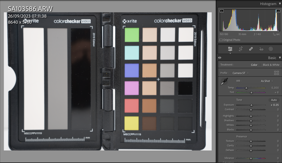 Sony Histograms, Zebras and Highlight warnings Sony A1 experience