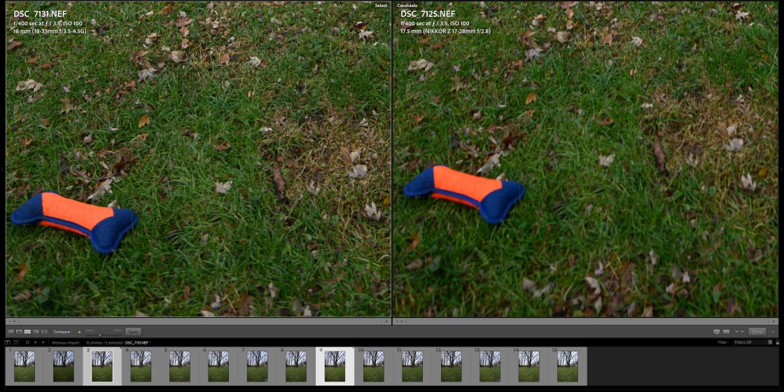 My Copy of Nikon Z 17-28 2.8 vs My Copy of Nikon F 18-35 3.5G