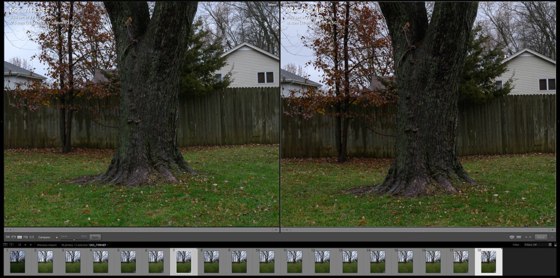 My Copy of Nikon Z 17-28 2.8 vs My Copy of Nikon F 18-35 3.5G