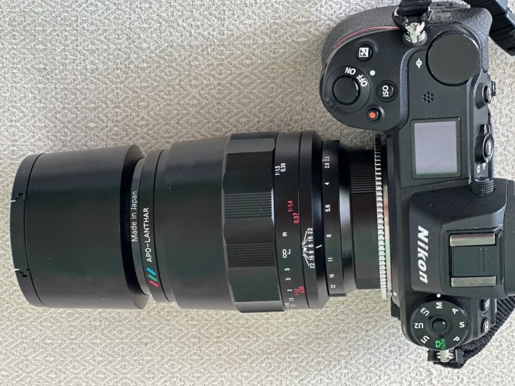 Voigtlander APO-Lanthar 110mm f2.5 Macro: Sample pictures