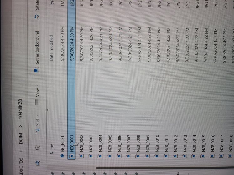 Z8 created new folder and started files at 0001 for no reason.. in
