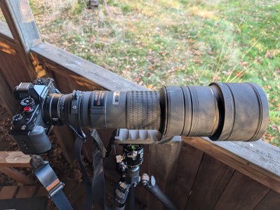 Sigma 500mm f4.5 APO EX HSM (non-DG or DG) experiences | DPReview
