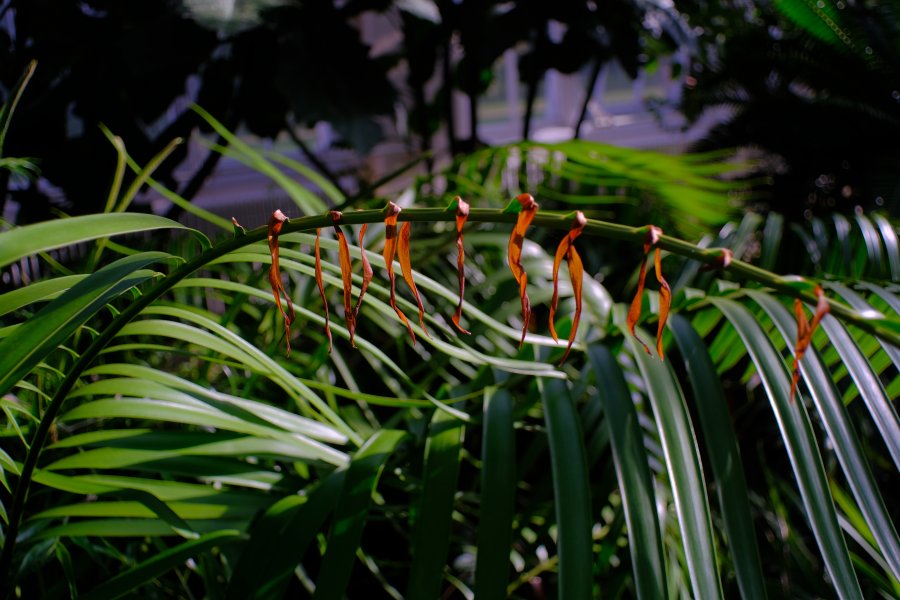Super Multi Coated Takumar 24mm f3.5 | DPReview Forums