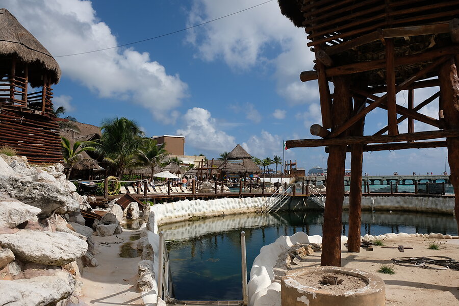 Question of the week: What had the most impact on your photography in 2025?