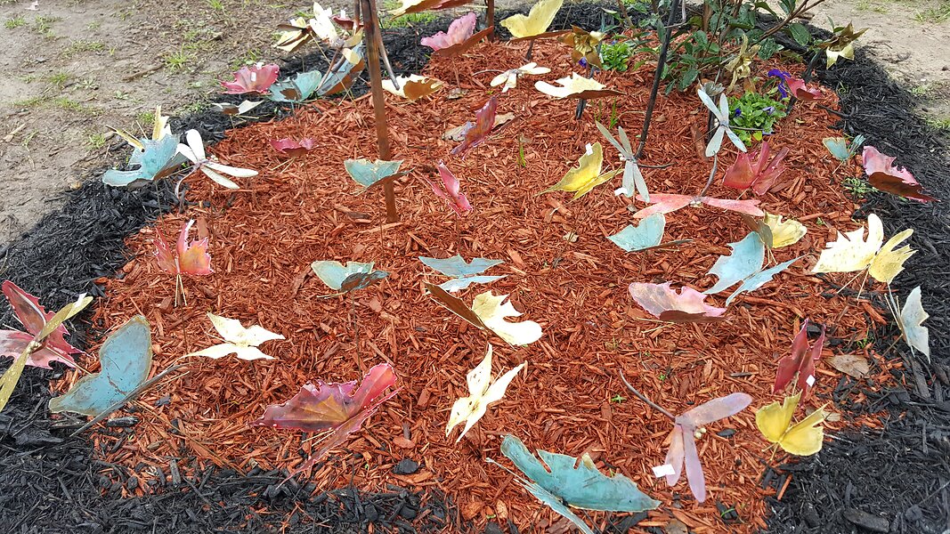 Question of the week: What is the most significant photography lesson you learned in 2025?