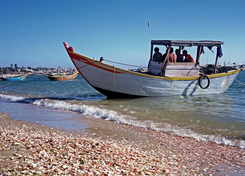 Question of the week: What are your 2026 New Year's photography resolutions?