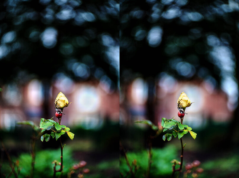 The Super Sankor | DPReview Forums