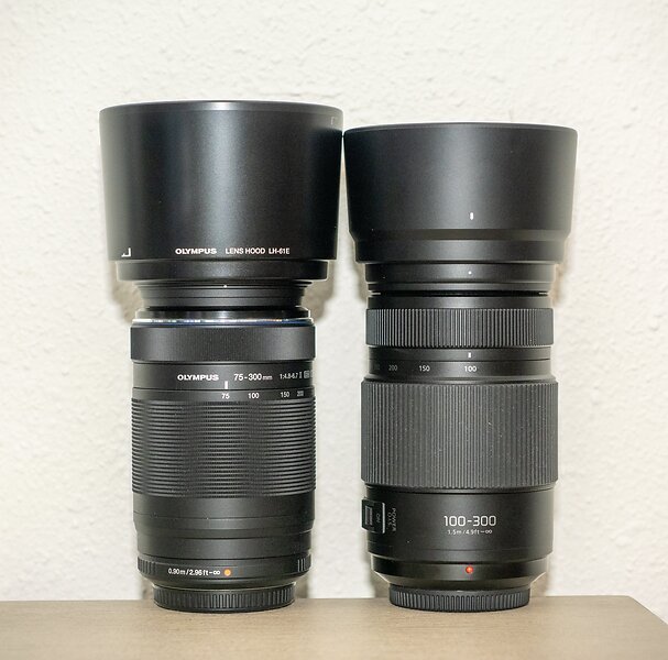 Olympus 75-300 or Panasonic AF 100-300 | DPReview Forums