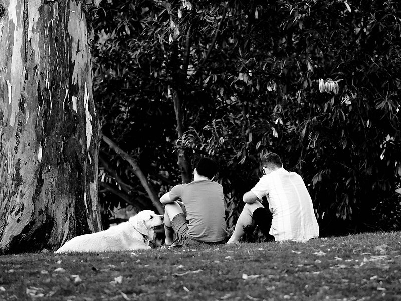 P9060045.jpeg