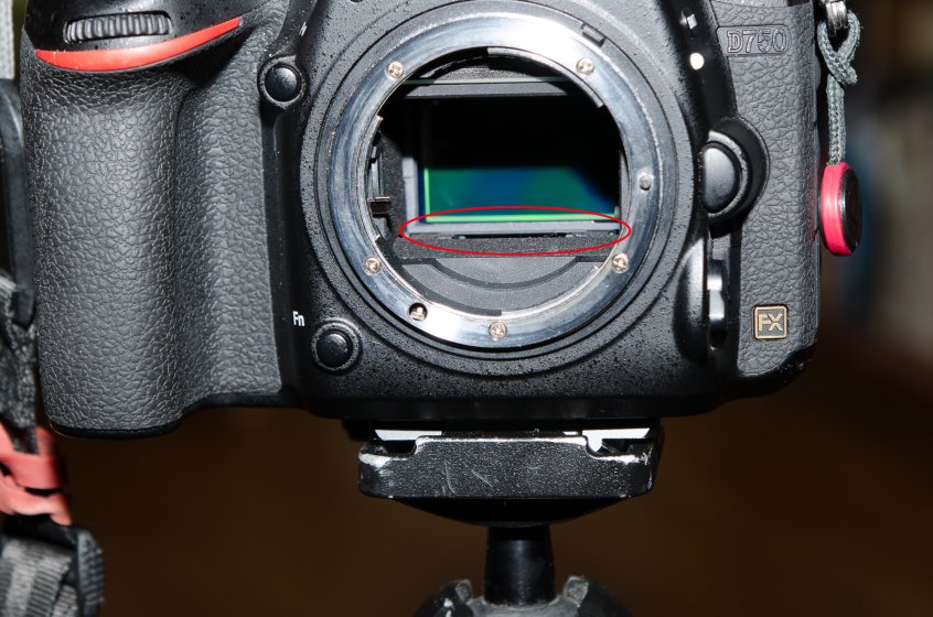AF sensor position | DPReview Forums