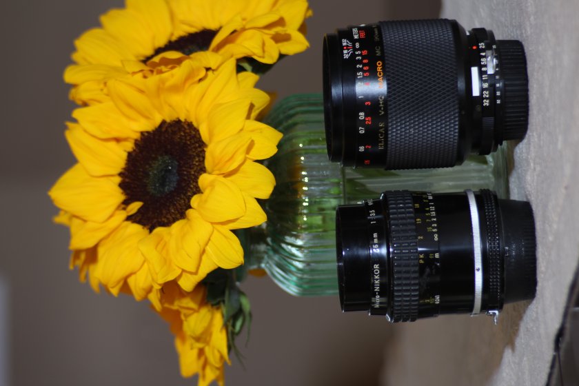 Elicar VHQ 90mm f2.5 macro | DPReview Forums
