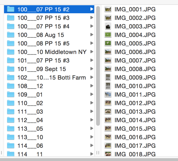 Consecutive file numbering not working | DPReview Forums