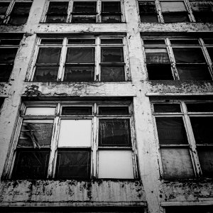 Window Pain | DPReview Forums