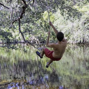Rope Swing | DPReview Forums
