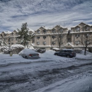 Complex after Nemo | DPReview Forums