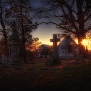 Awaiting Resurrection | DPReview Forums