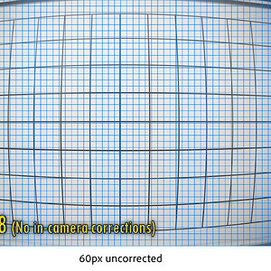 Distortion-uncorrected.jpg | DPReview Forums